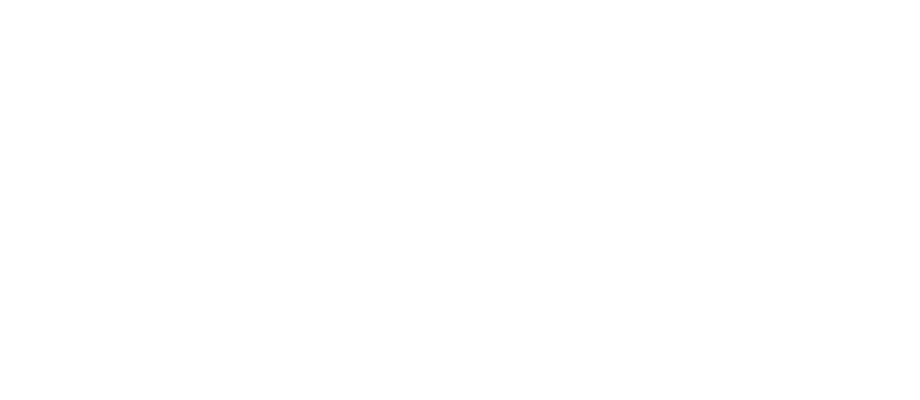 Leon kasyno logo